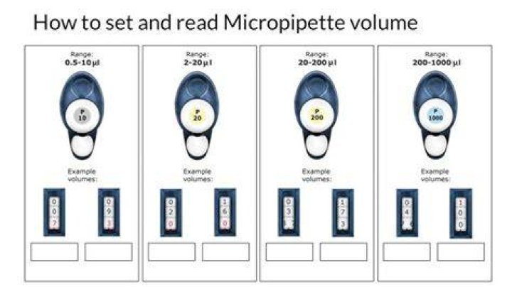 How To Read A Micropipette
