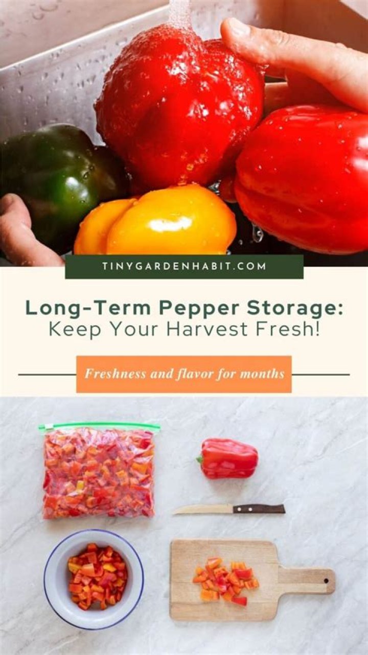 How to store peppers - How To Discuss