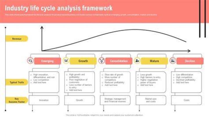 Industry life cycle analysis - How To Discuss