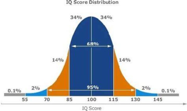 Is 132 A Good Iq