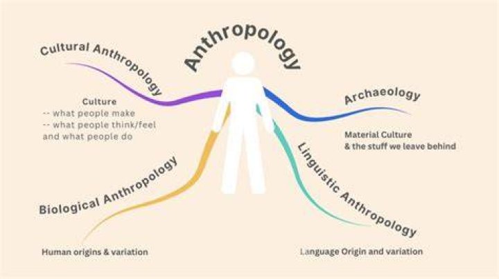 Is Anthropology Hard - How To Discuss