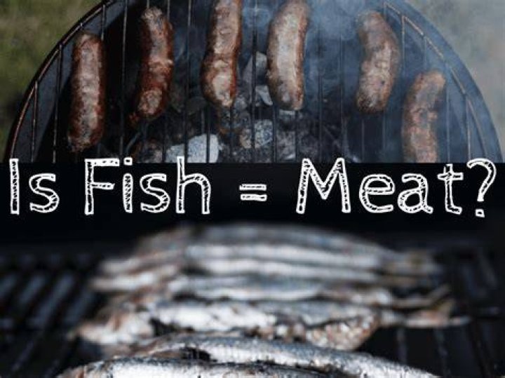 Is Fish Considered Meat - How To Discuss