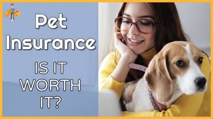 Is pet insurance a waste of money?