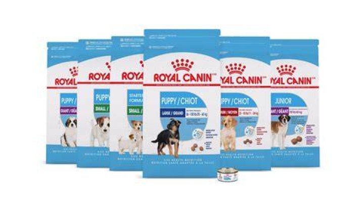 Is Royal Canin Dog Food Worth The Money