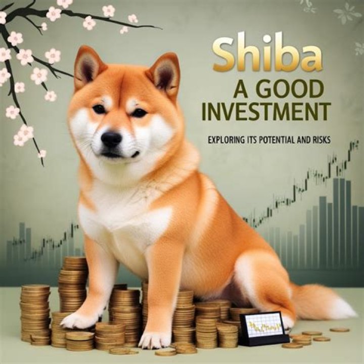 Is shiba a good investment