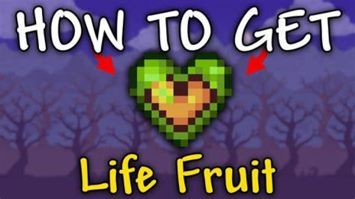Life Fruit Terraria - How To Discuss