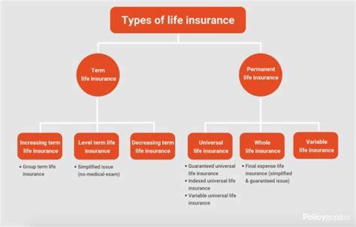 Life insurance and its working