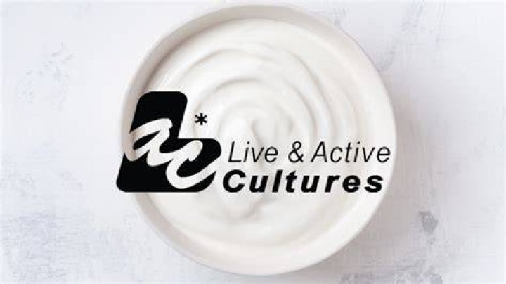 Live culture yogurt - How To Discuss