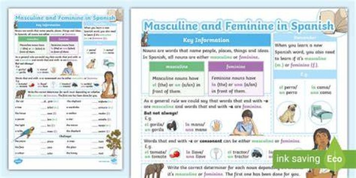 Masculine And Feminine Spanish - How To Discuss