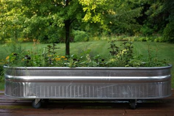 Metal trough planter - How To Discuss