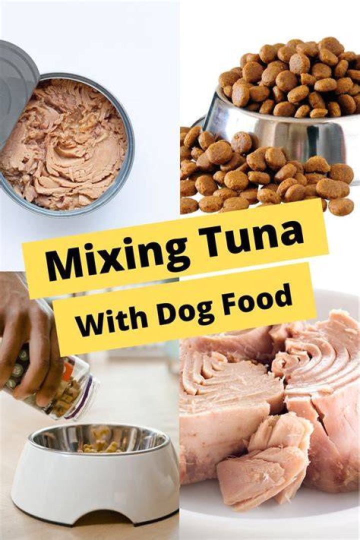 Mixing Tuna With Dog Food