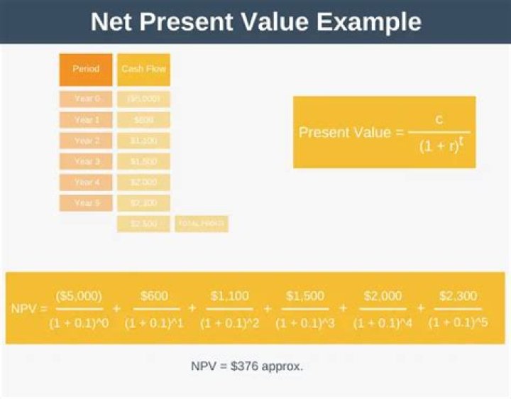 Net present value rule - How To Discuss
