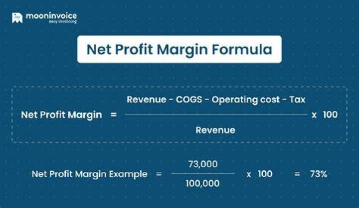 Net Profit Margin - How To Discuss