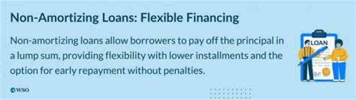 Non-Amortizing Loan - How To Discuss