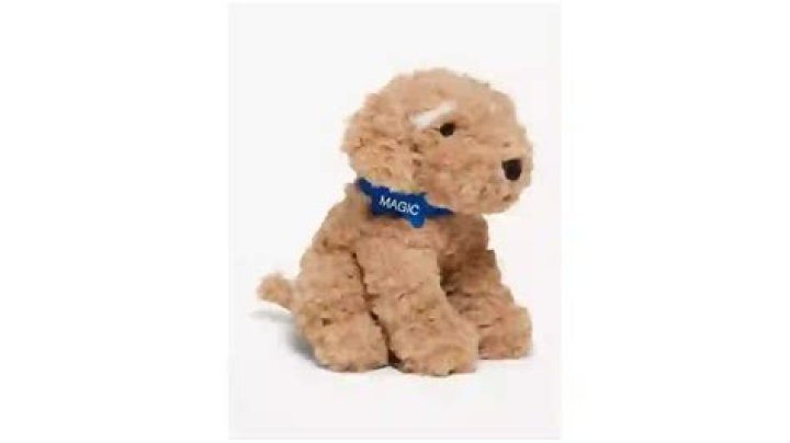 Old Navy Dog Toys - How To Discuss