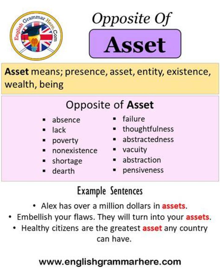 Opposite Of Asset - How To Discuss