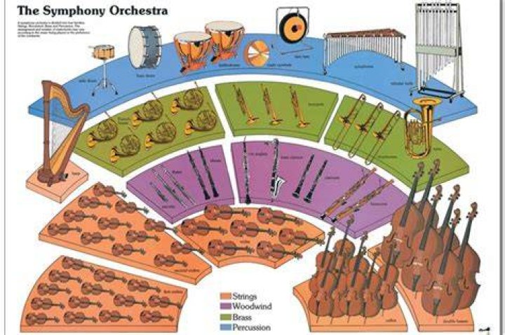Orchestra sections - How To Discuss
