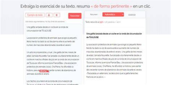 Pagina Para Resumir Textos - How To Discuss