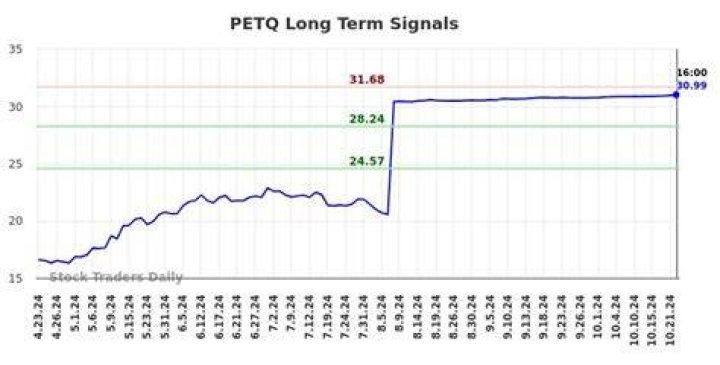 Petq stock - How To Discuss