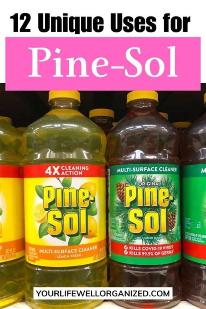 Pine sol uses - How To Discuss