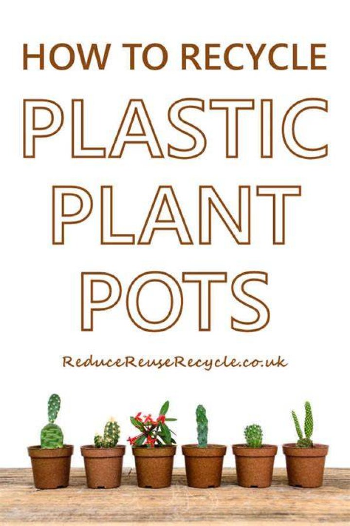 Plastic plant pots - How To Discuss