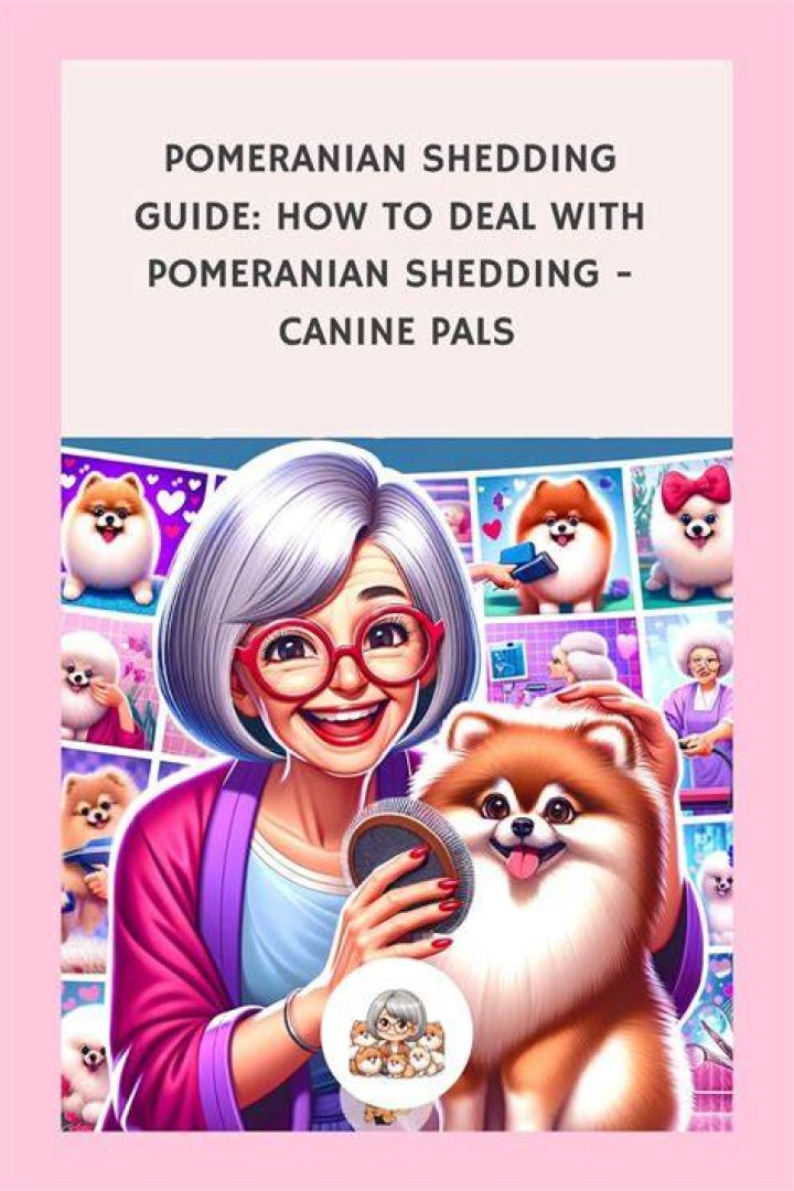 Pomeranian shedding - How To Discuss