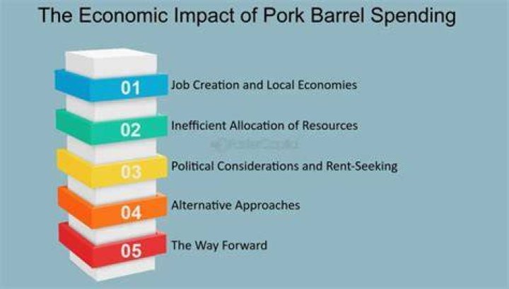 Pork Barrel Politics - How To Discuss