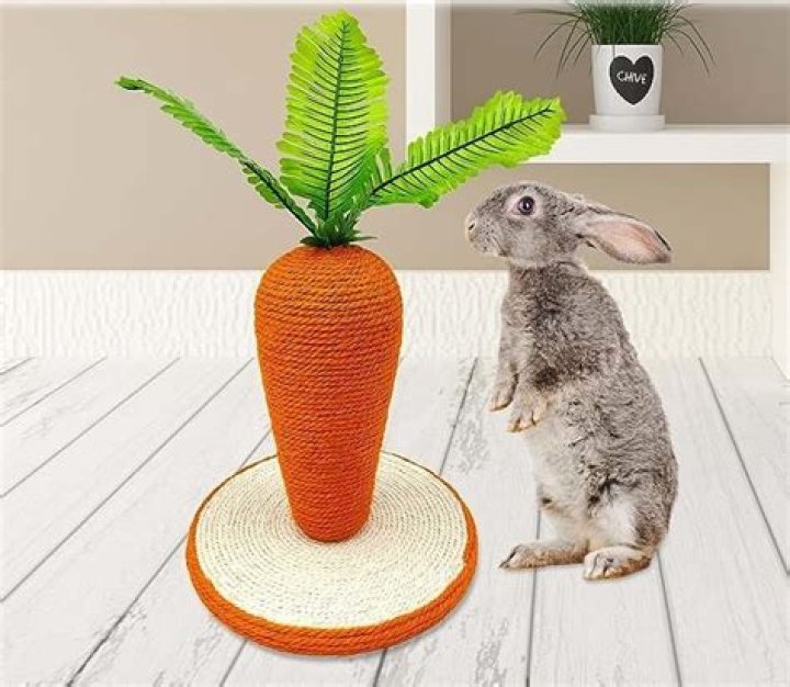 Rabbit Scratching Post - How To Discuss