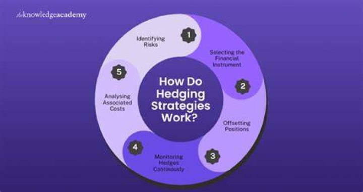 Reinsurance/hedging Strategy Optimization - How To Discuss