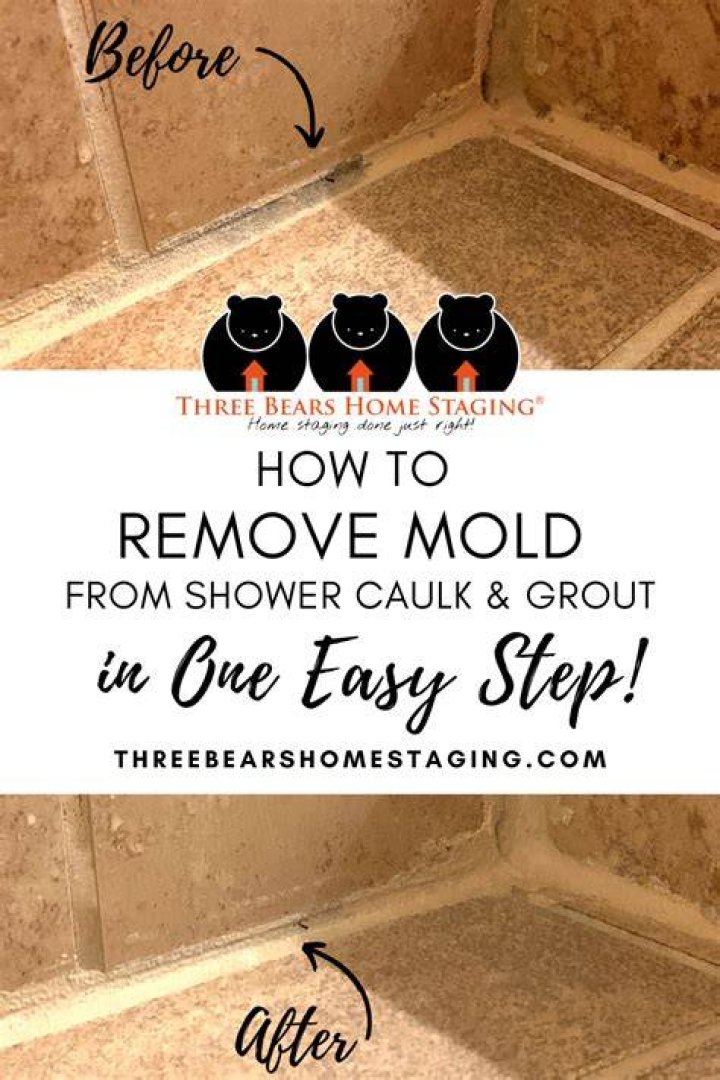Remove mold from shower - How To Discuss