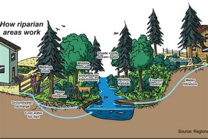 Riparian rights - How To Discuss