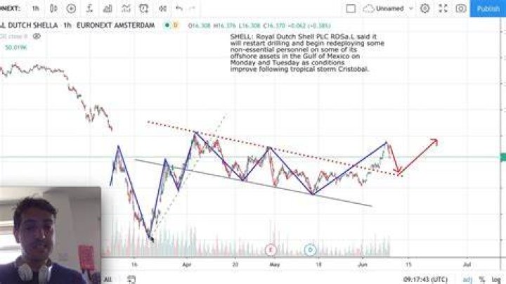 Royal dutch shell stock b
