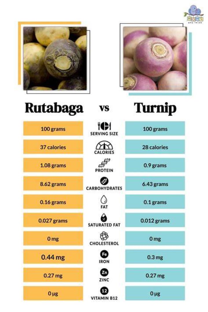 Rutabaga nutrition - How To Discuss
