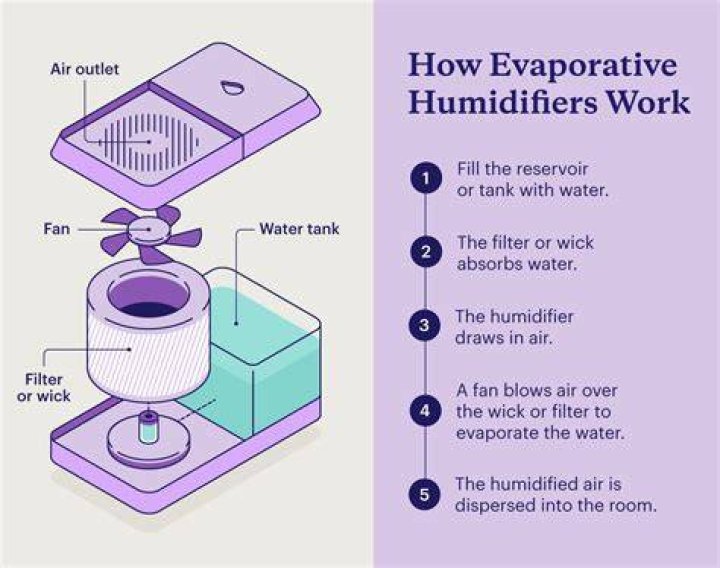 Salt Water Humidifier - How To Discuss