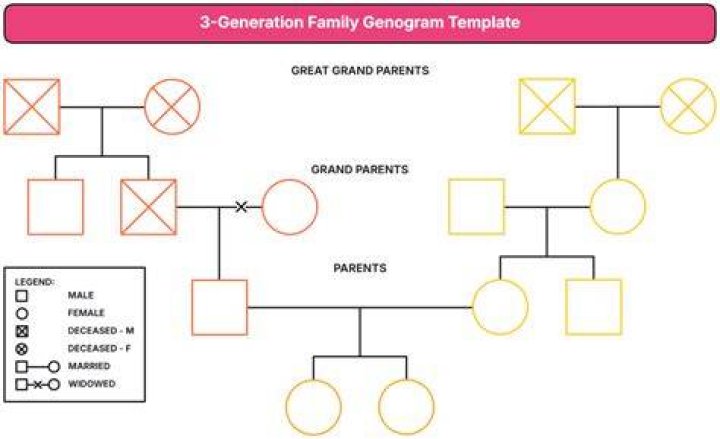 Sample Genogram 3 Generations - How To Discuss