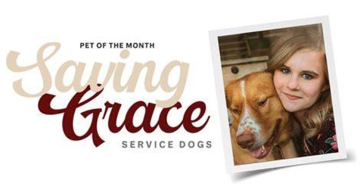 Saving Grace Dogs - How To Discuss