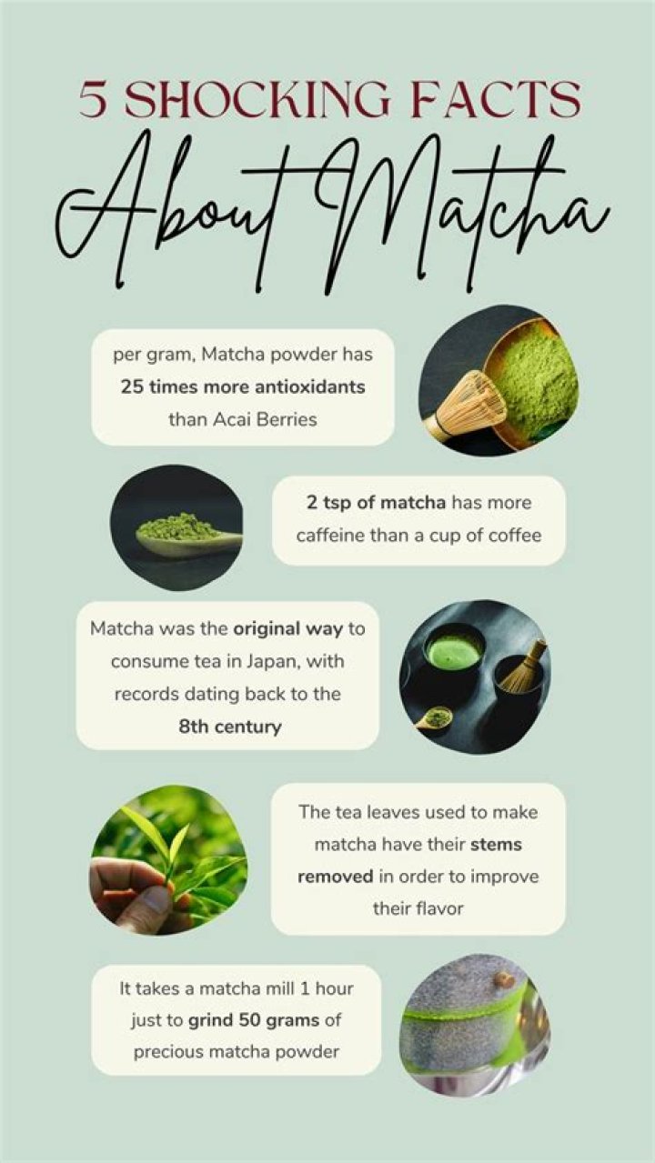 Seven Startling Facts About Matcha