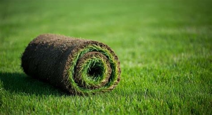 Sod roller - How To Discuss