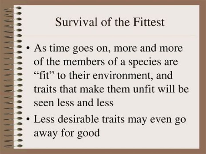Survival of the fittest - How To Discuss
