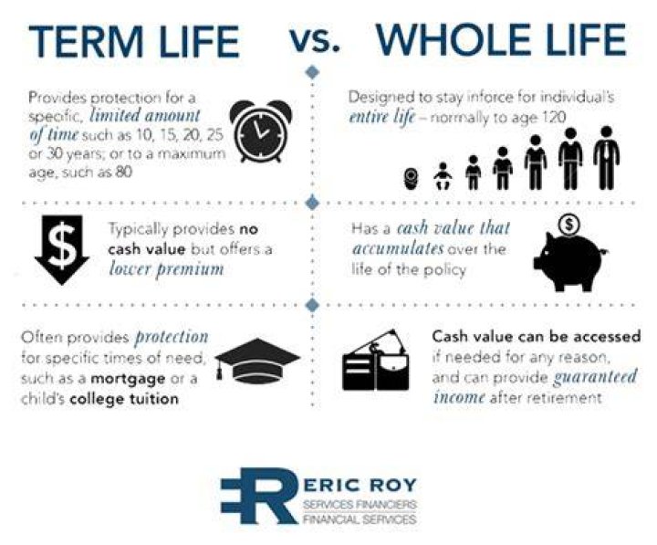Term vs whole life insurance
