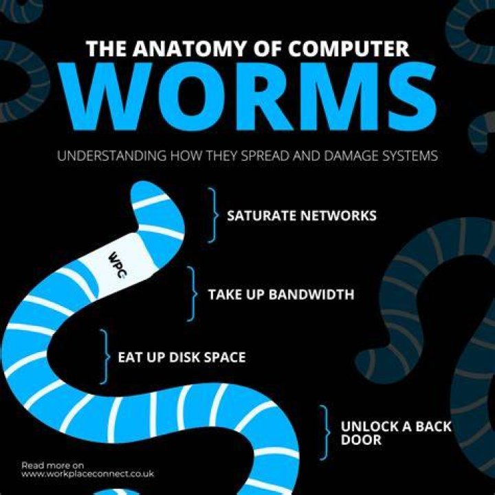 Thc Worm - How To Discuss