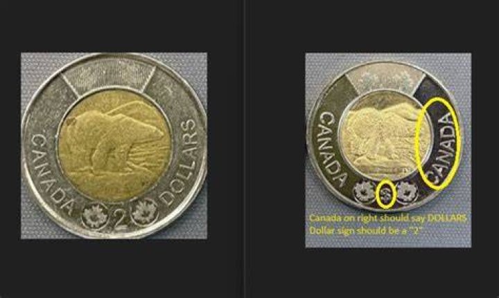 Toonie Boston - How To Discuss