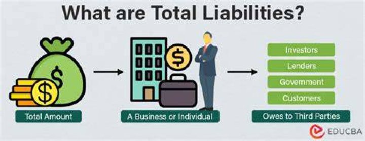 Total liabilities - How To Discuss
