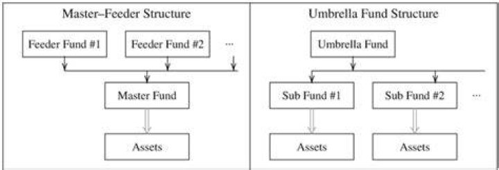 Umbrella fund - How To Discuss