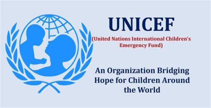 Unicef Significado - How To Discuss