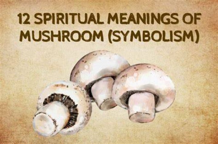 What Do Mushrooms Symbolize - How To Discuss