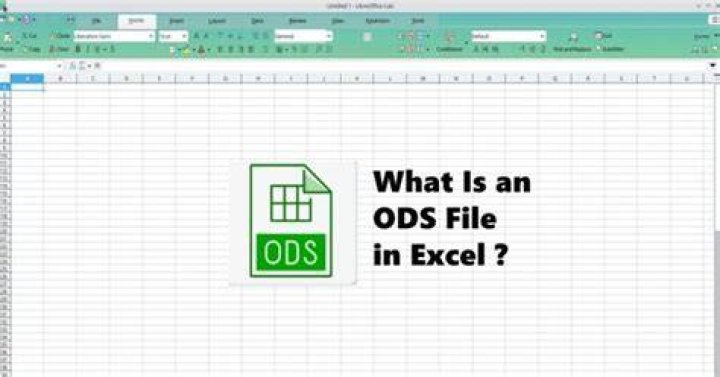 What is an ods file