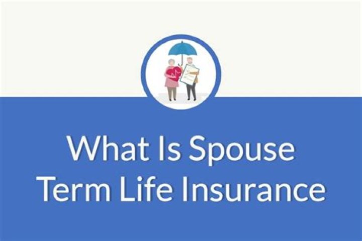 WHAT IS SPOUSE SUPPLEMENTAL LIFE INSURANCE POLICY?