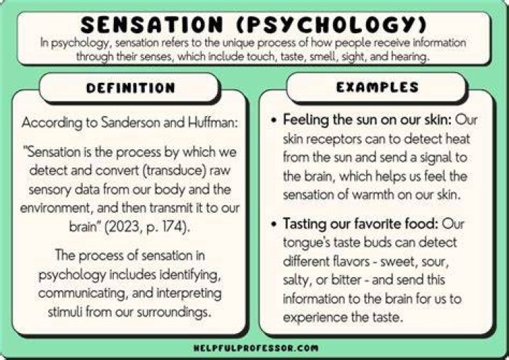 What is the Sensation? - How To Discuss