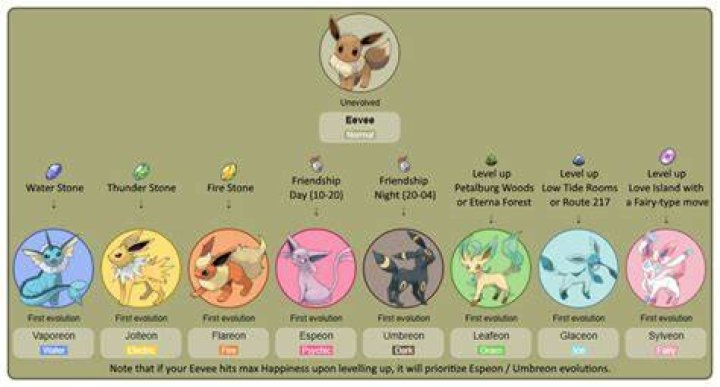 What Level Does Eevee Evolve